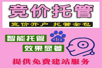 揭秘推广竞价：实战案例深度剖析